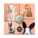 Foto 0: Animais favoritos de French Moeda comum de 5� em metal - Coelho - Em circula��o, ano de validade: 2025